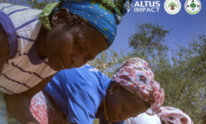 Agroecology Pays Off in Burkina Faso - Report Groundswell Intl