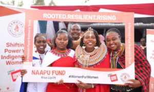 Naapu - women-led fund Kenya