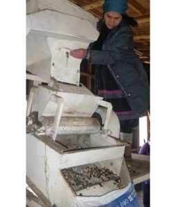 Hazelnut machine Chile