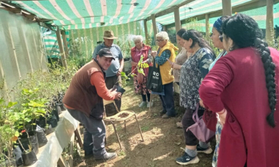 Chile hazelnut community lab